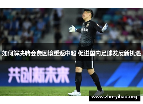 如何解决转会费困境重返中超 促进国内足球发展新机遇 如何解决转会费困境重返中超 促进国内足球发展新机遇