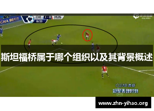 斯坦福桥属于哪个组织以及其背景概述